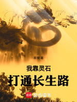 小說(shuō)《/data/image/11234.jpg》封面