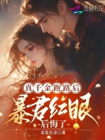 小說(shuō)《/data/image/113.jpg》封面