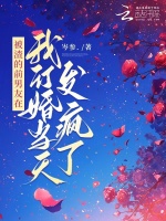 小說(shuō)《/data/image/11574.jpg》封面