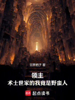 小說《/data/image/13542.jpg》封面