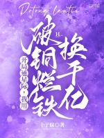 小說《/data/image/1395.jpg》封面