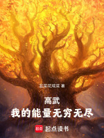 小說《/data/image/15816.jpg》封面
