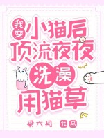 小說《/data/image/15932.jpg》封面