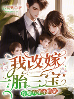 小說(shuō)《/data/image/16007.jpg》封面