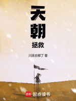 天朝拯救小說(shuō)封面