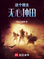 這個領(lǐng)主無心種田小說封面