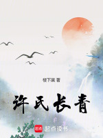 許氏長青小說封面
