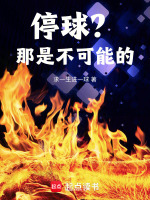停球？那是不可能的！小說封面