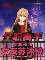 全職高手：重生孫翔，女友蘇沐橙小說(shuō)封面