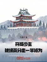 小說《/data/image/16208.jpg》封面
