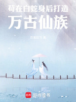 小說《/data/image/16420.jpg》封面