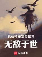 小說《/data/image/16428.jpg》封面