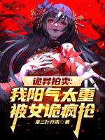 小說(shuō)《/data/image/16507.jpg》封面