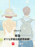 小說(shuō)《/data/image/16579.jpg》封面