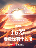 小說《/data/image/16694.jpg》封面