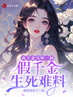 小說(shuō)《/data/image/16696.jpg》封面
