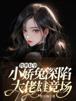 小說《/data/image/16735.jpg》封面