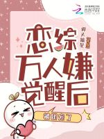 小說《/data/image/16903.jpg》封面