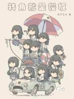 小說(shuō)《/data/image/16922.jpg》封面