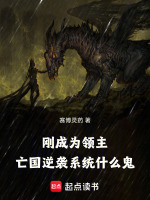 小說《/data/image/16944.jpg》封面