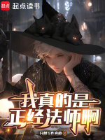 小說(shuō)《/data/image/17151.jpg》封面