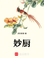 小說(shuō)《/data/image/17228.jpg》封面