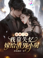 小說(shuō)《/data/image/17248.jpg》封面