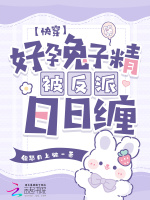 小說(shuō)《/data/image/17326.jpg》封面