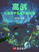 小說《/data/image/17375.jpg》封面