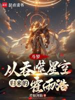 小說《/data/image/17428.jpg》封面