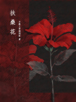 小說(shuō)《/data/image/17454.jpg》封面