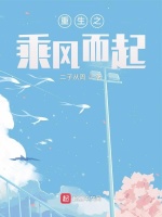 小說(shuō)《/data/image/1746.jpg》封面