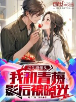小說(shuō)《/data/image/17506.jpg》封面