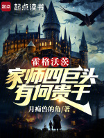 小說《/data/image/17529.jpg》封面