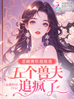 小說《/data/image/17633.jpg》封面