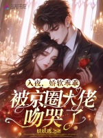 小說《/data/image/1766.jpg》封面