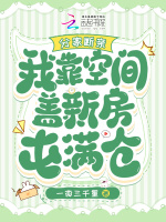 小說《/data/image/17981.jpg》封面