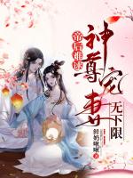 小說《/data/image/18060.jpg》封面