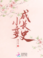 小說《/data/image/18273.jpg》封面