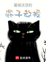 小說(shuō)《/data/image/18527.jpg》封面