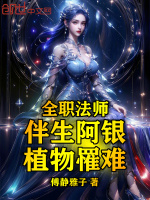 小說《/data/image/18528.jpg》封面