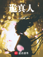 小說《/data/image/18669.jpg》封面