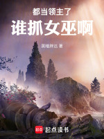 小說(shuō)《/data/image/19085.jpg》封面