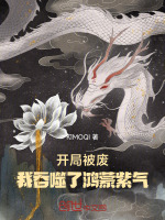 小說(shuō)《/data/image/19107.jpg》封面