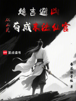 小說(shuō)《/data/image/19133.jpg》封面