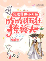 小說(shuō)《/data/image/19213.jpg》封面