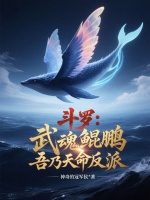 小說(shuō)《/data/image/19282.jpg》封面