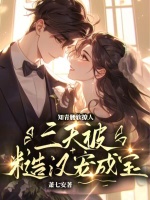 小說(shuō)《/data/image/19345.jpg》封面