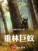 小說(shuō)《/data/image/19625.jpg》封面