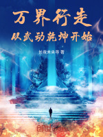 小說(shuō)《/data/image/20165.jpg》封面